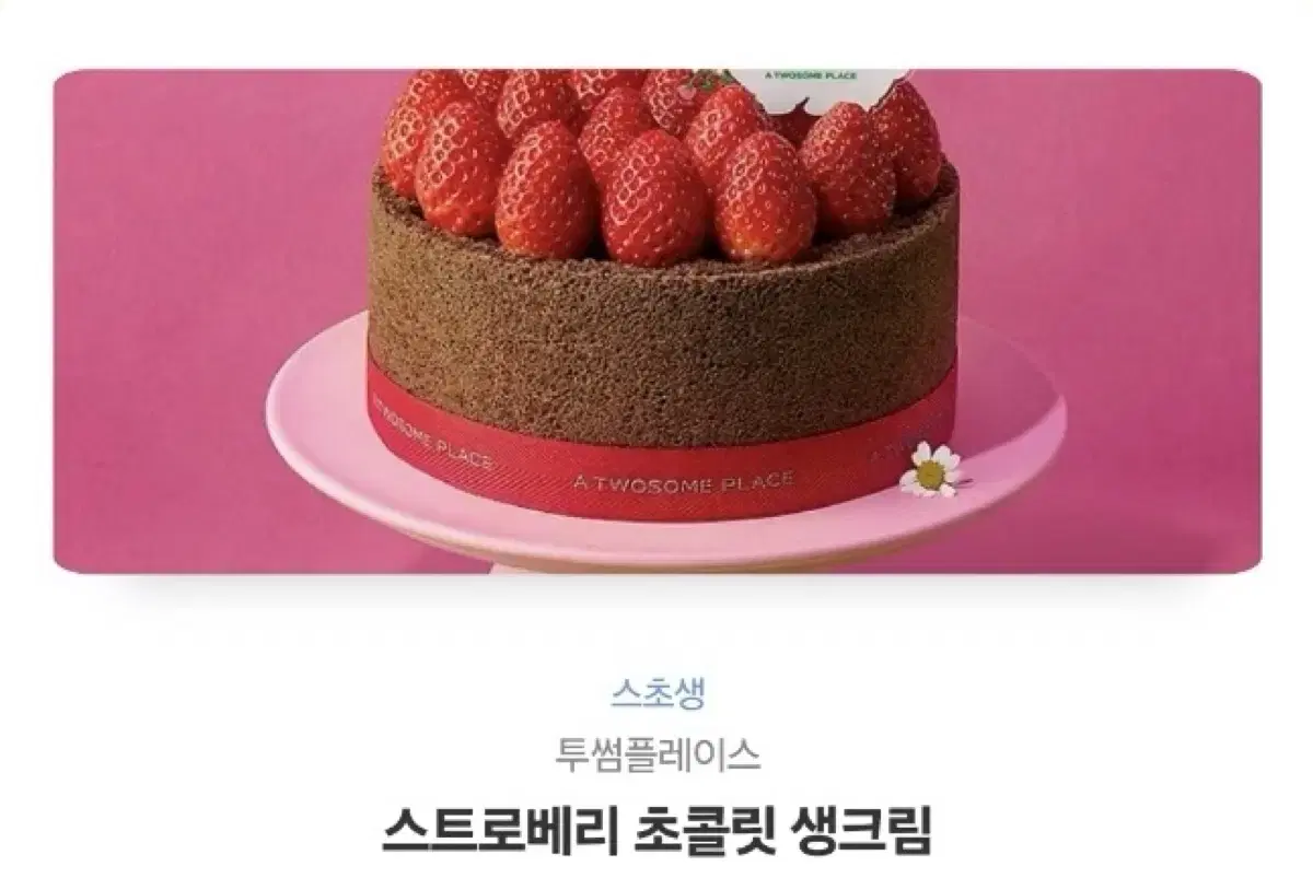 투썸플레이스 스트로베리 초콜릿 생크림 케이크 깊티