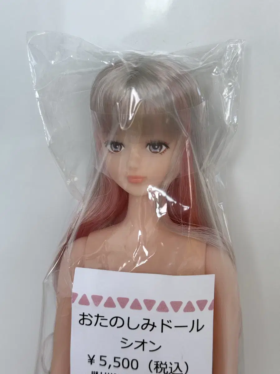 리키캐슬 시온
