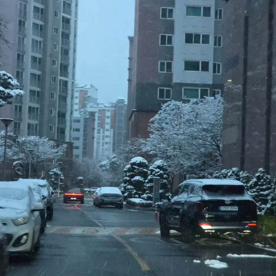 신라호텔 뷔페권