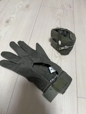 페노메논 현상 아미 그로브