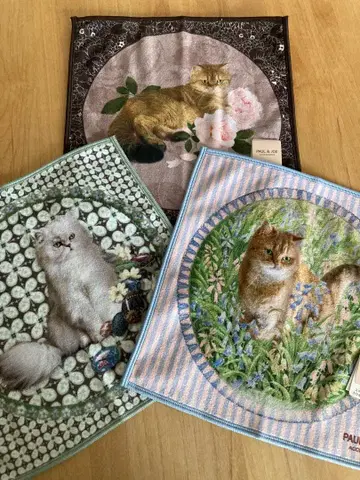 새상품 폴앤조 스마트폰 닦기 리버서블 손수건 3장 세트