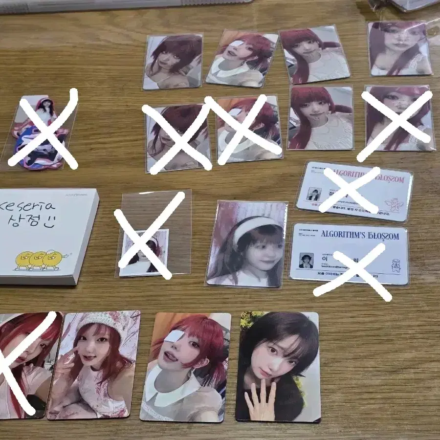 QWER Algorithm Blossom Chodan AlbumPhoto Card Photocard