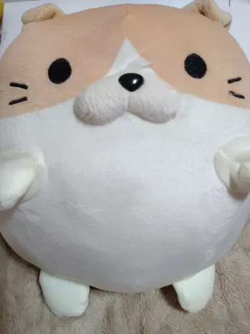 고양이 서밋 앉기 타입 봉제 인형