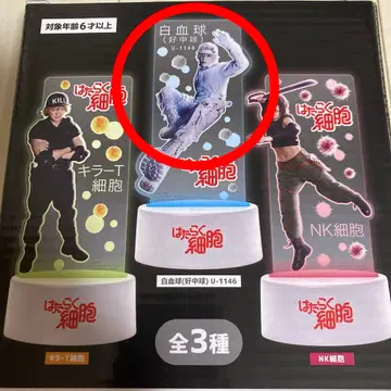 일하는 세포 ROUND1 아크릴 스탠드 LED 조명 백혈구