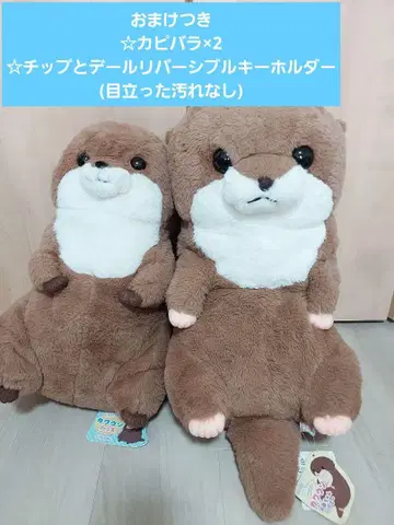 봉제 인형 해달 프라이즈 덤 포함 카피바라 칩과 데일