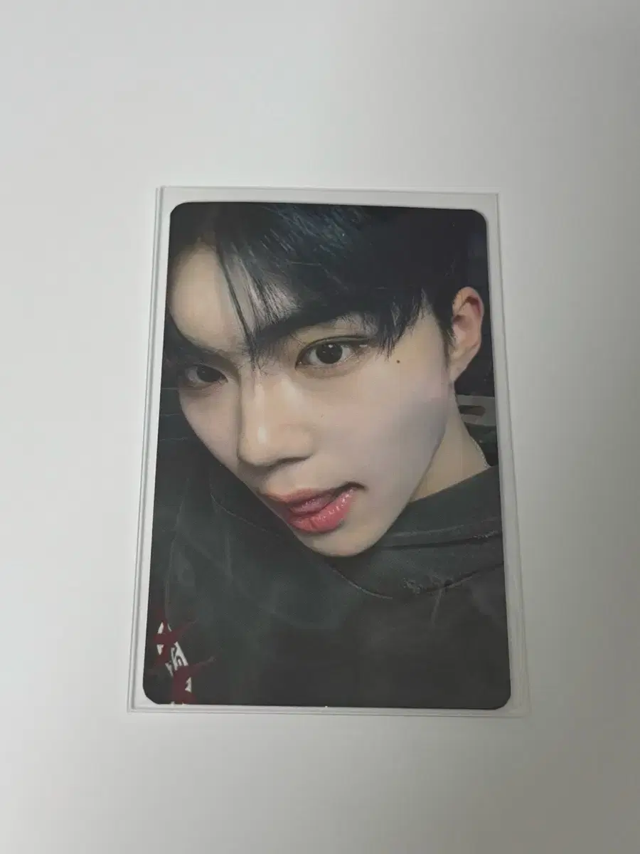 제베원 틈새라면 박건욱 포카 양도