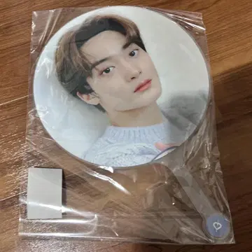 CRAVITY 태연 부채