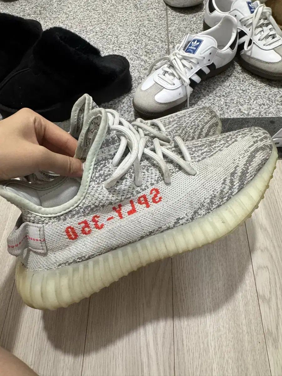 이지부스트 350 V2 블루틴트 240