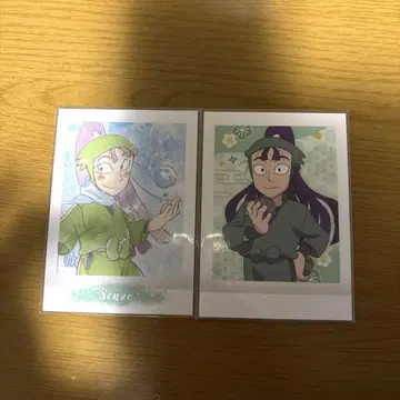 닌자 타마란타로 파샤코레 다치바나 센조