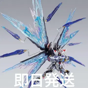당일 METALBUILD 스트라이크 프리덤 건담 빛의 날개 옵션 세트