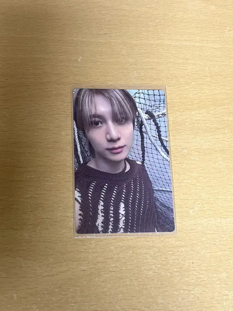 샤이니 태민 포카
