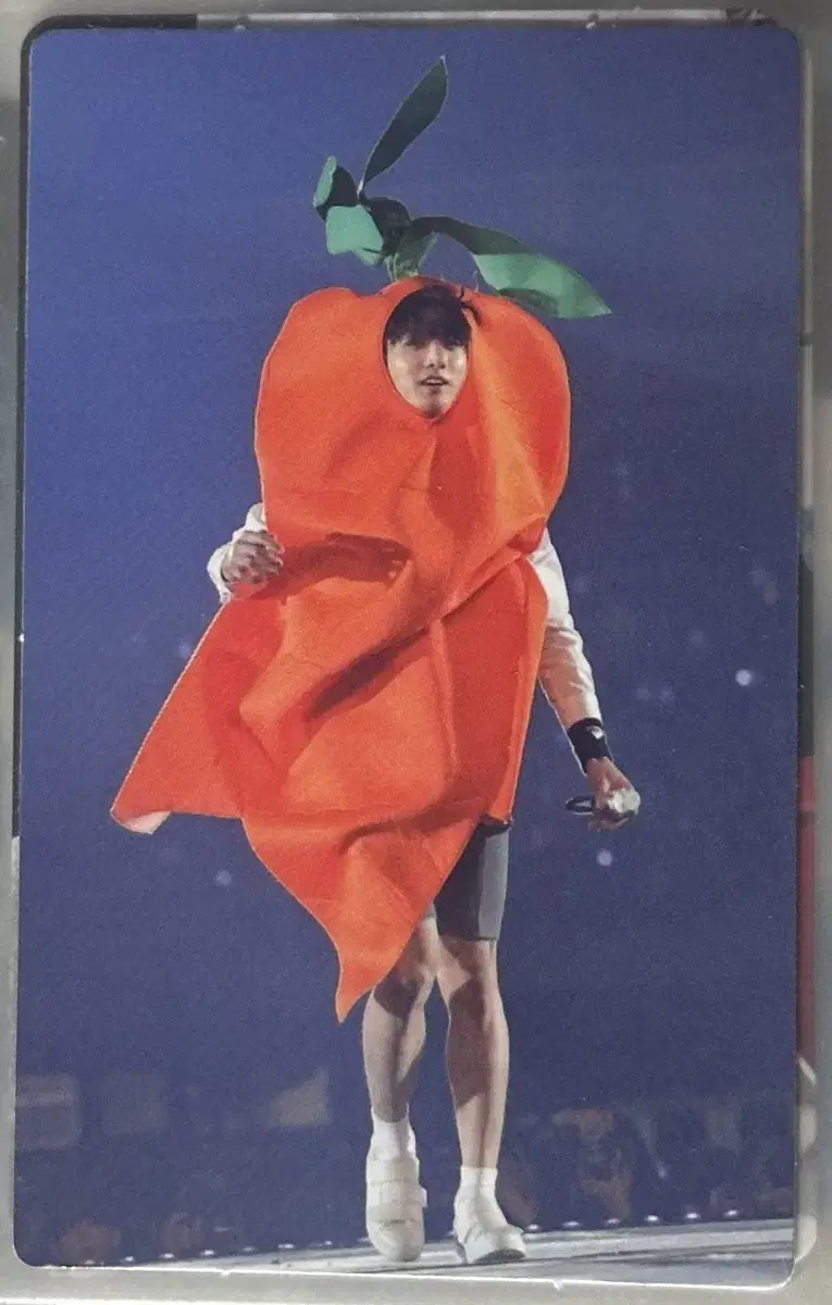 머사터 머스터 4기 DVD 포카 정국