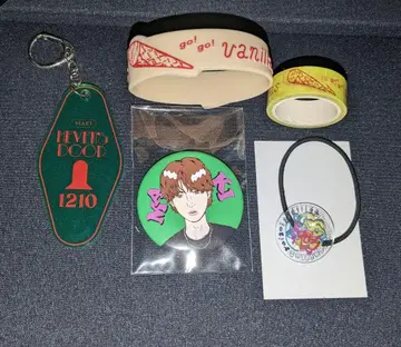 go!go!vanillas My Favorite Things 투어