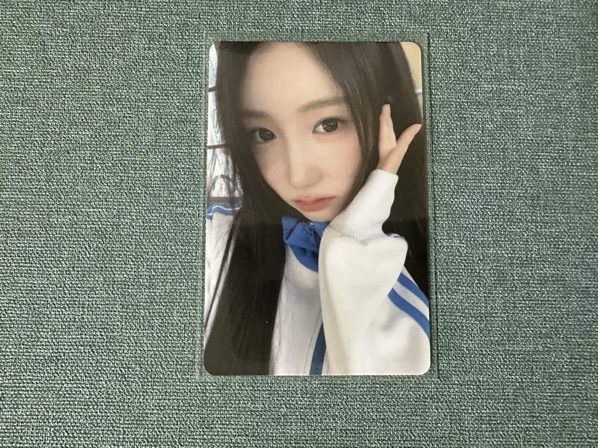 세이마이네임 메이 샤랄라 공방포카 판매합니다