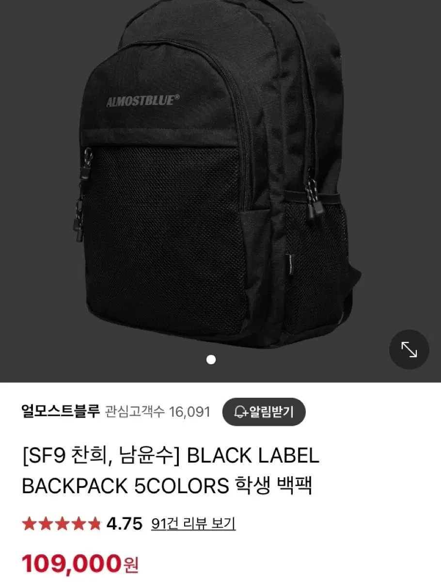 얼모스트 블루 검정 백팩