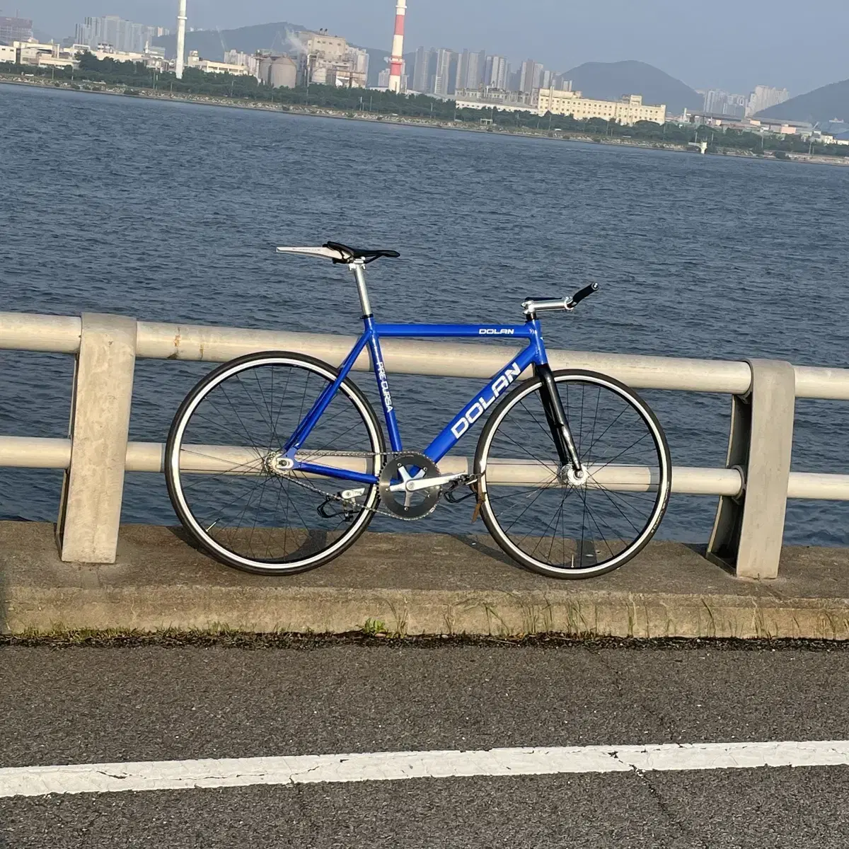 도란 프리큐사 픽시
