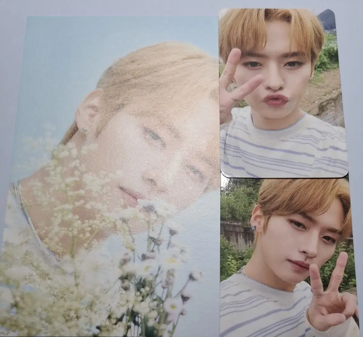 스키즈 스트레이키즈 리노 스테이 2기 일괄