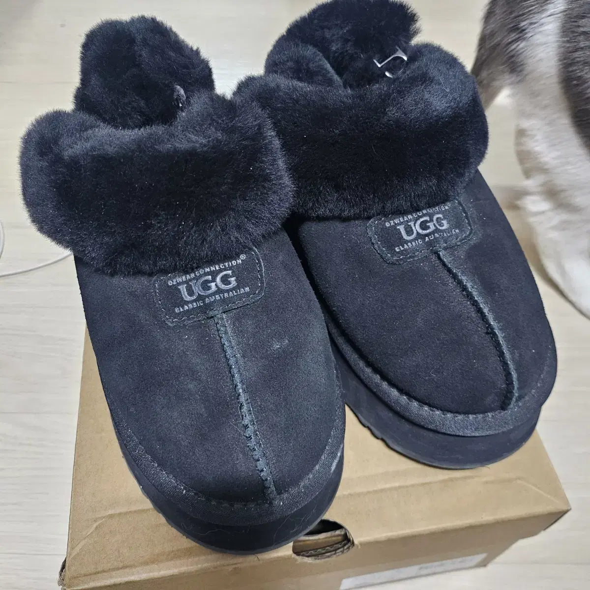 어그 플랫폼 _ 245 블랙