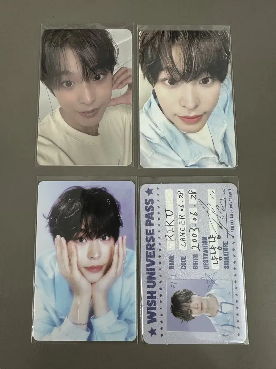 엔시티 위시 리쿠 포카 일괄