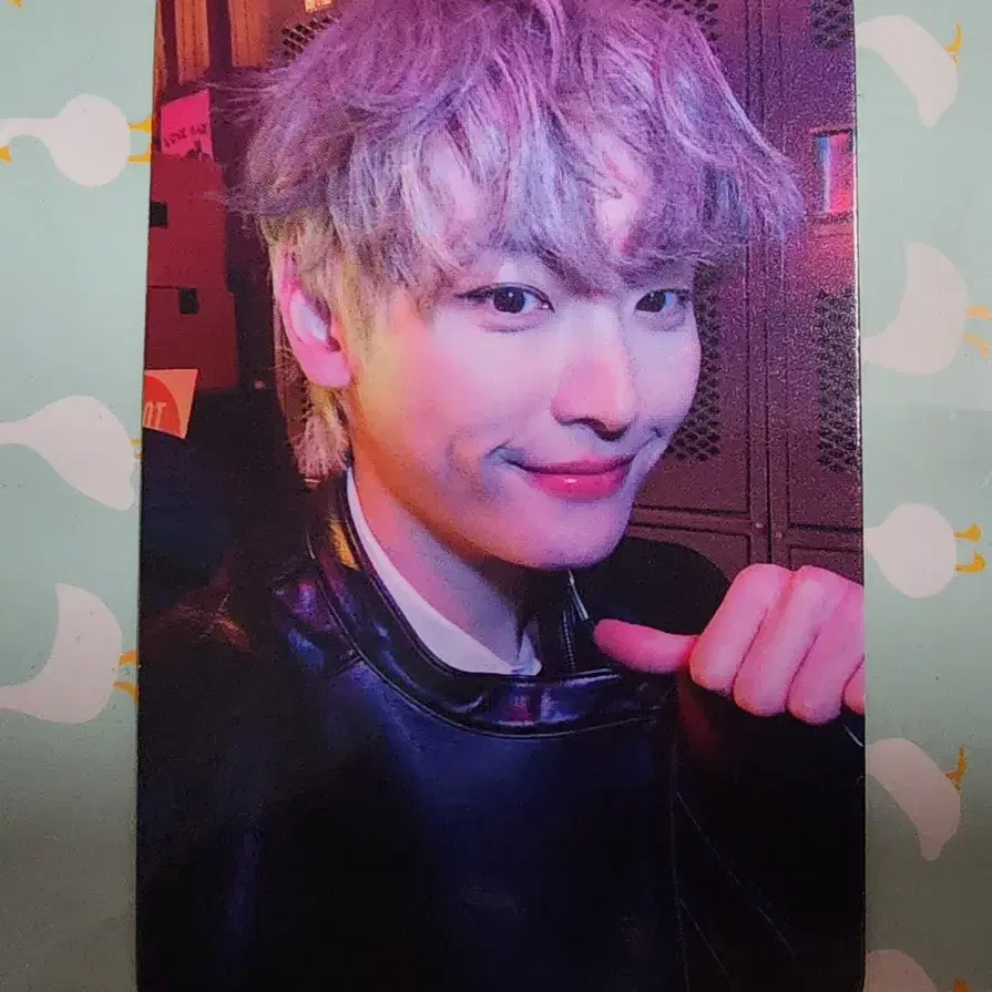 SF9 러브레이스 인성 공방 포카