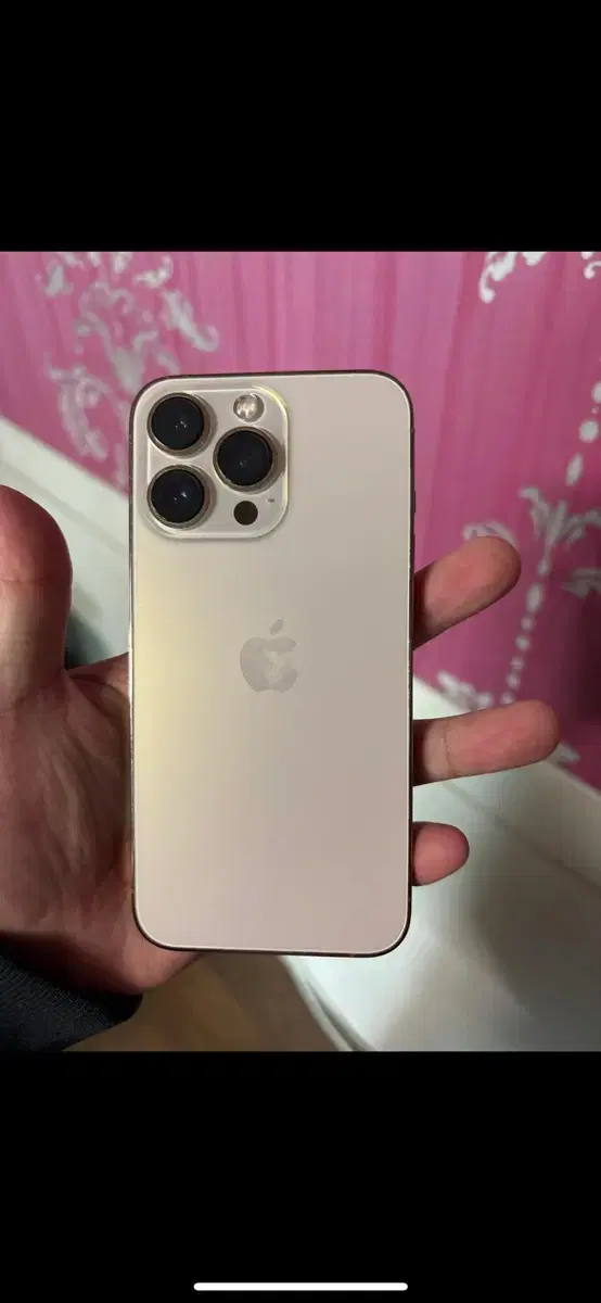 아이폰13pro