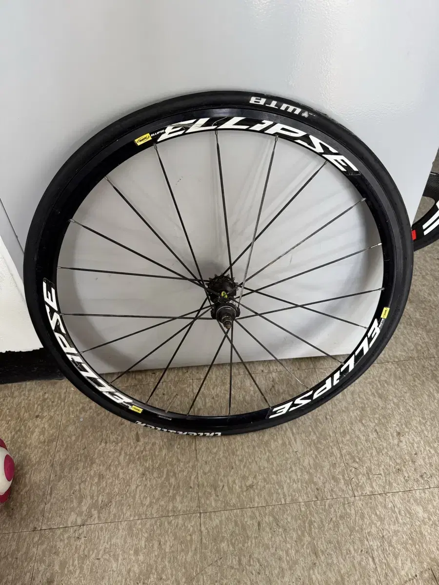 Mavic Ellips 2021 model (individual purchase available) Rear