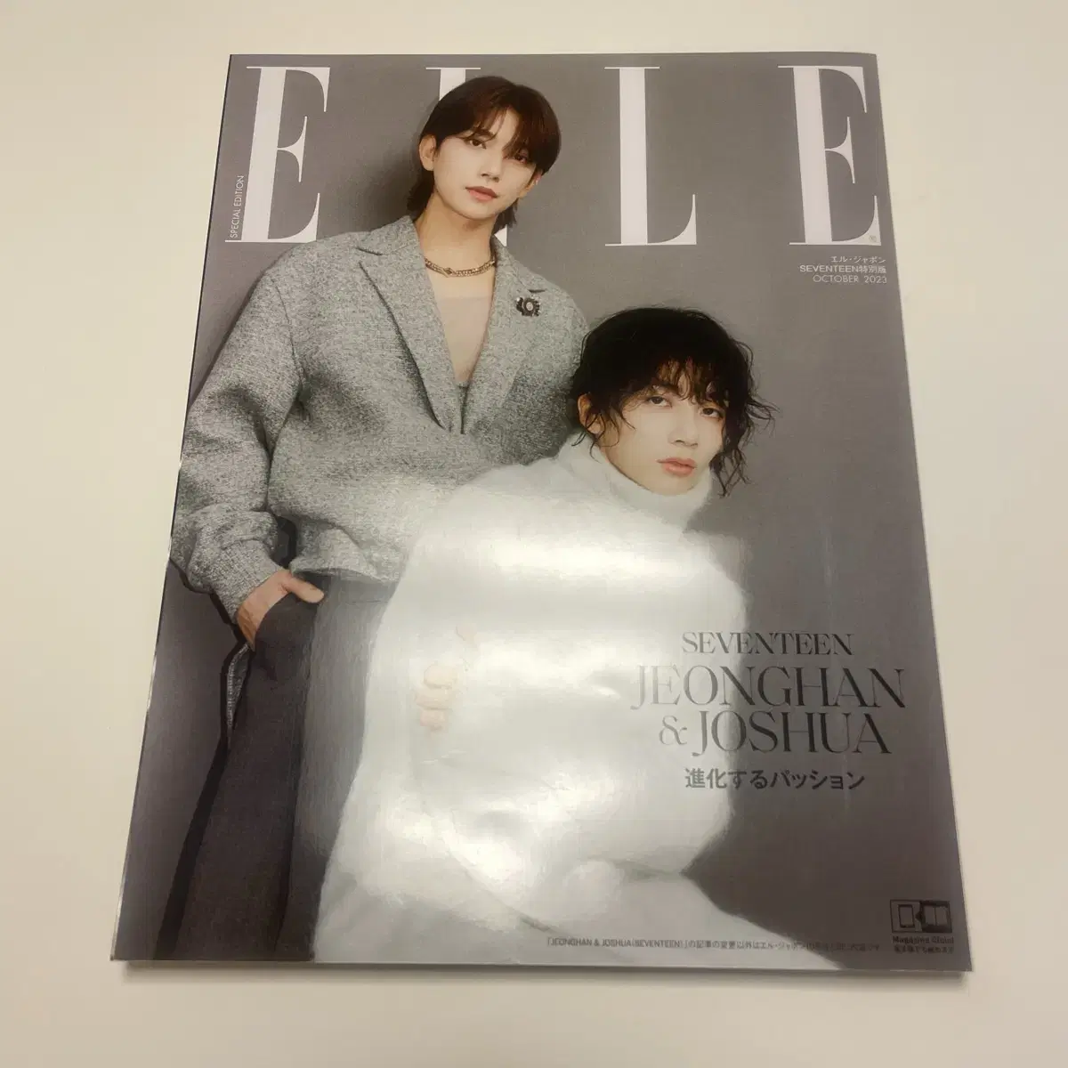 엘르 조슈아 정한