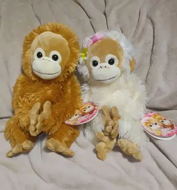 베이비 코코&너트 베이비 코코&너트 택 포함 내추럴