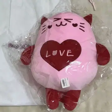 astro ROROHA 로로하 봉제 인형 30cm 문빈 냥냥