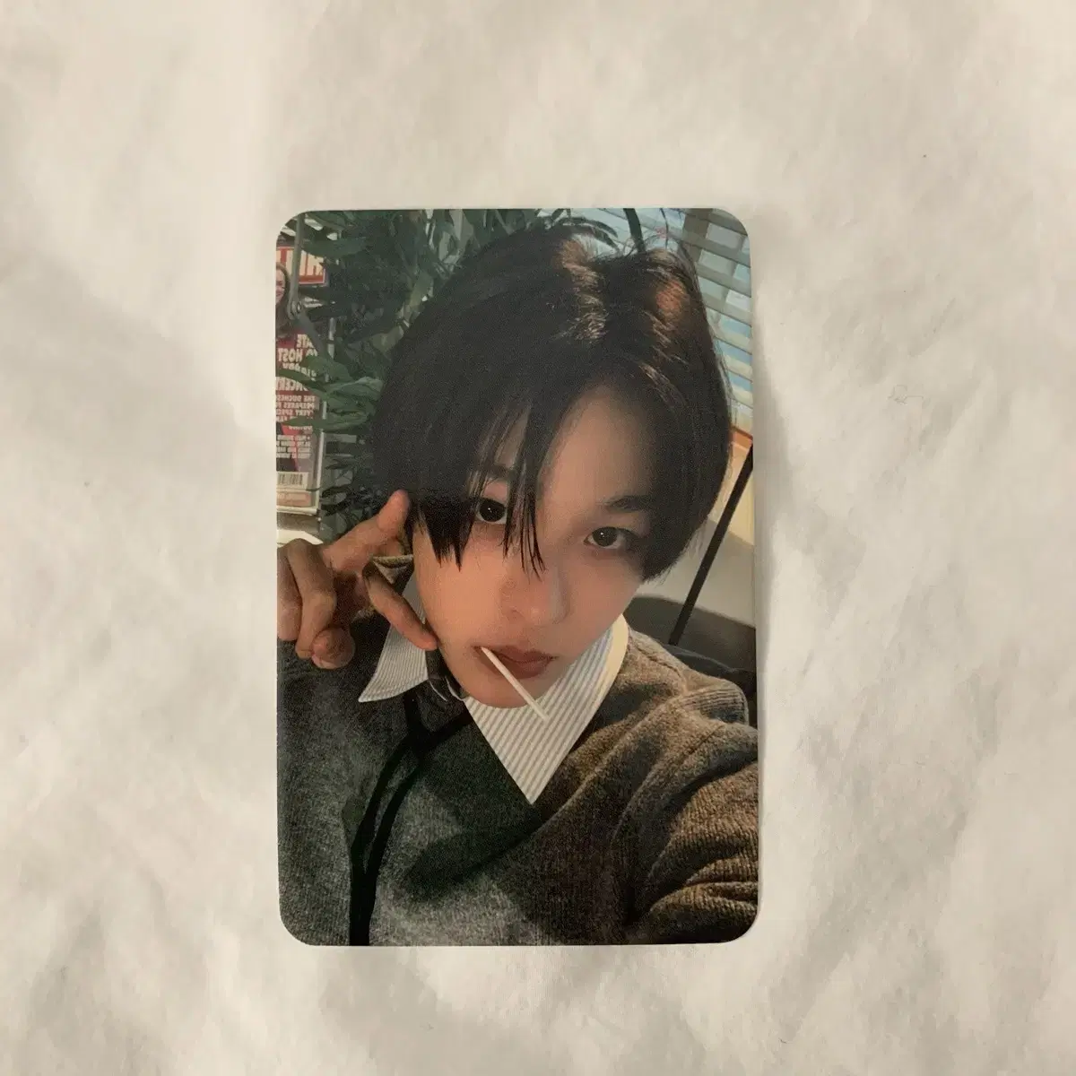 nct wish 리쿠 뮤직코리아 뮤코 미공포 포카 엔시티 위시