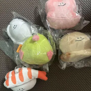 시로카라 5가지 종류 컴플리트 세트