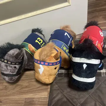 딥 펑드 테이엠 오페라 오 키세키 세트