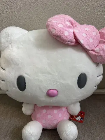 키티 봉제 인형