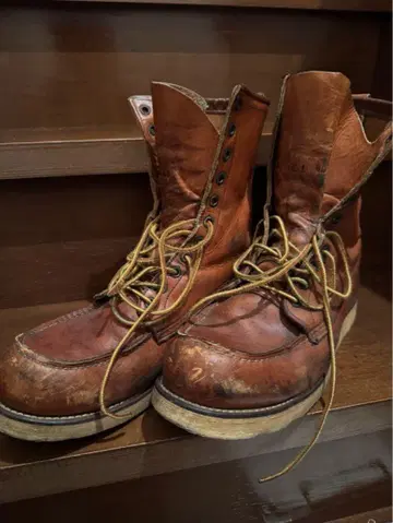 레드윙 REDWING 877 개 각인 10E 28cm 8인치