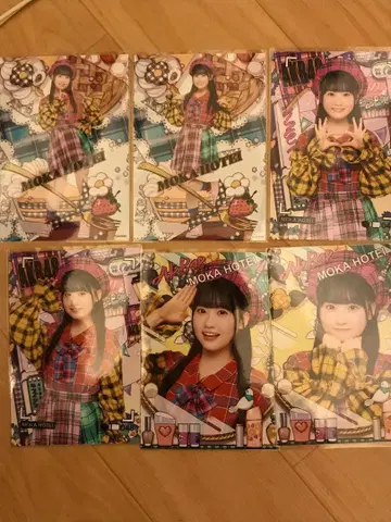 AKB48 17기생 다이마루 도쿄 의상 브로마이드 헝겊 가방 백
