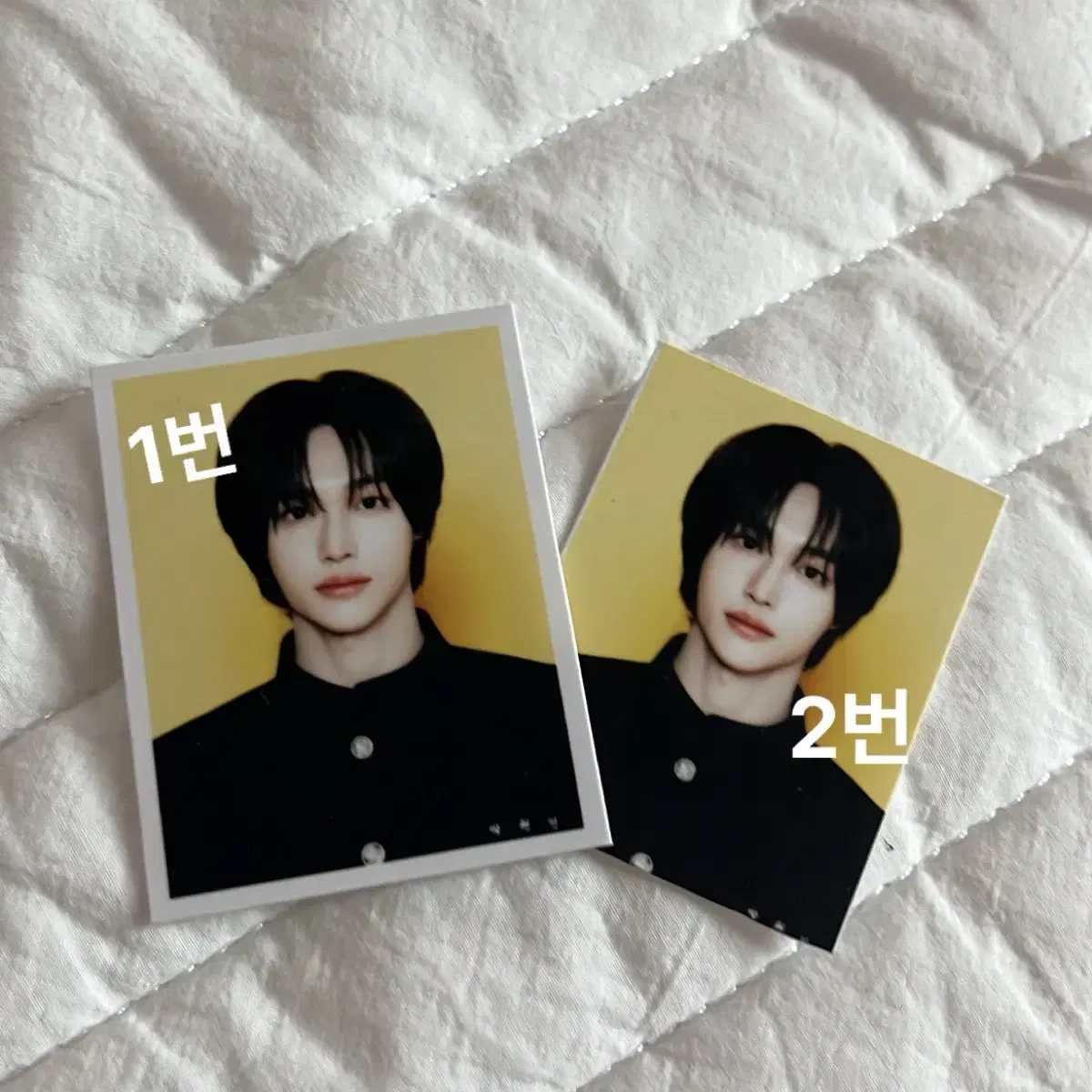 라이즈 허그 증명사진 증사 원빈ver