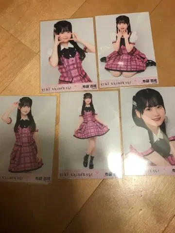 AKB48 17기생 브로마이드 헝겊 가방 백