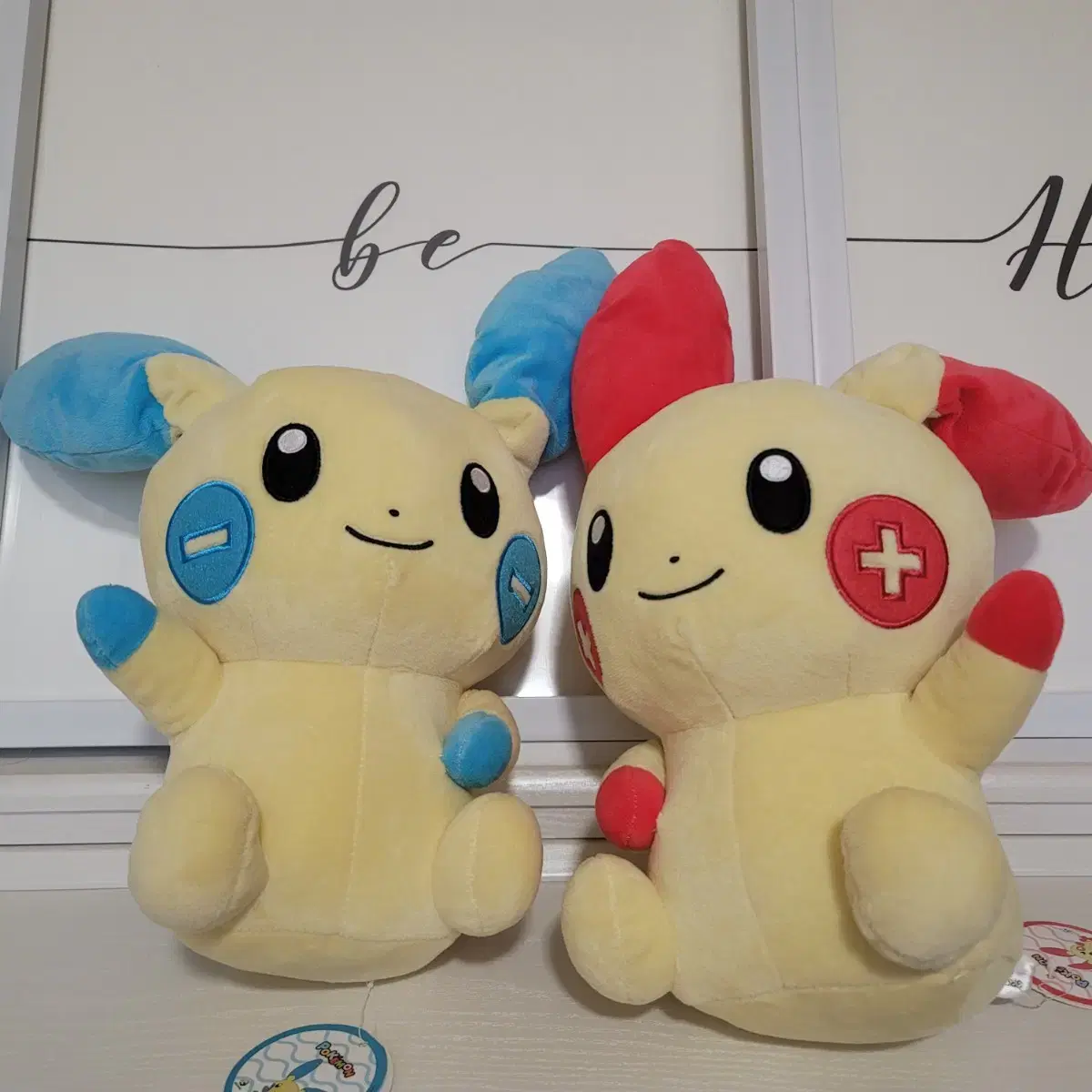 포켓몬 플러시 & 마이농 정품 인형
