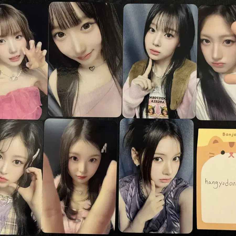세이마이네임 hellolive 쇼케이스 포카