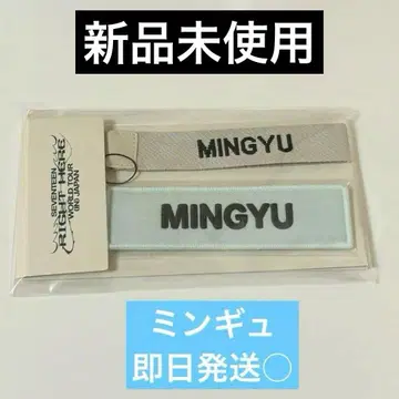 세븐틴 민규 Right Here 와펜