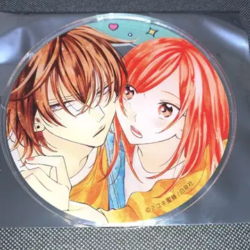 미유키 꿀벌 선생님 그라테 아크릴 코스터 건방진 사춘기