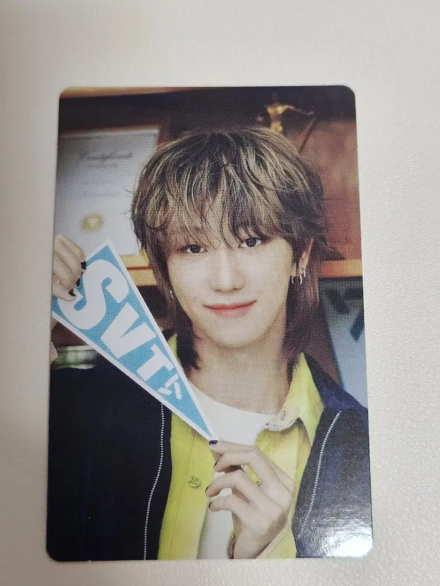 세븐틴 캐럿랜드 디에잇 포카 포토카드 트레카