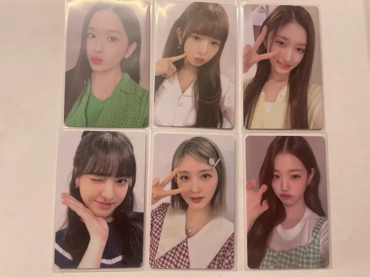 아이브 파파존스 포카