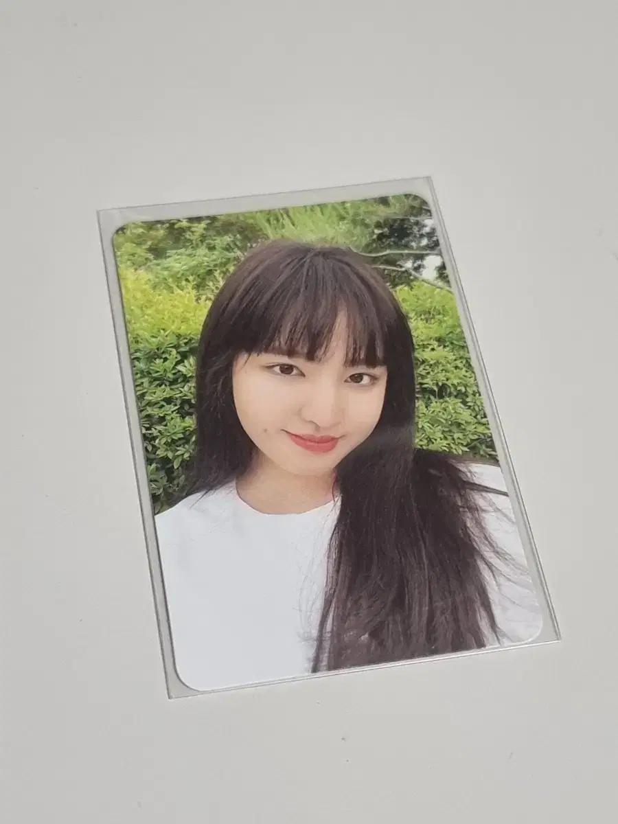 아이브 리즈 에프터라이크 앨범 포카