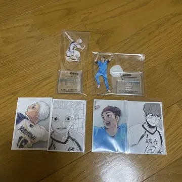 하이큐 크로니클 오다이만