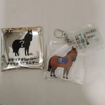 메모리얼 히어로 아크릴 키링 킹 카메하메하 웰컴 찬스