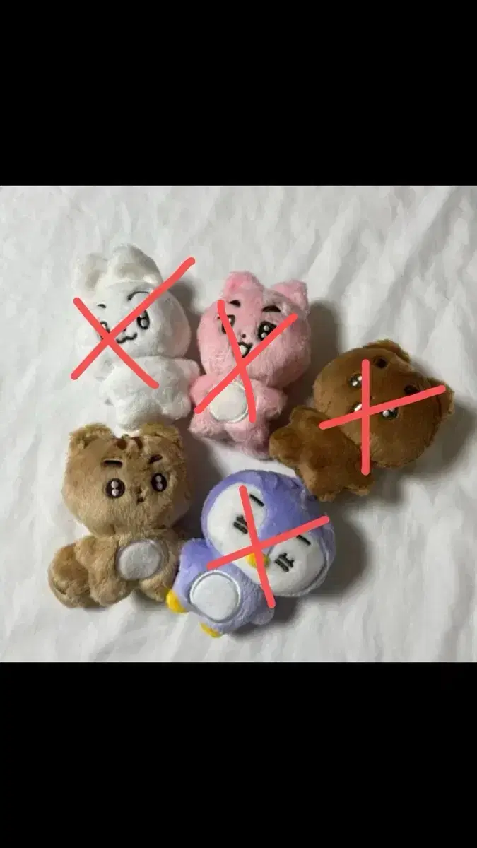 뽀바투 뽀송텬