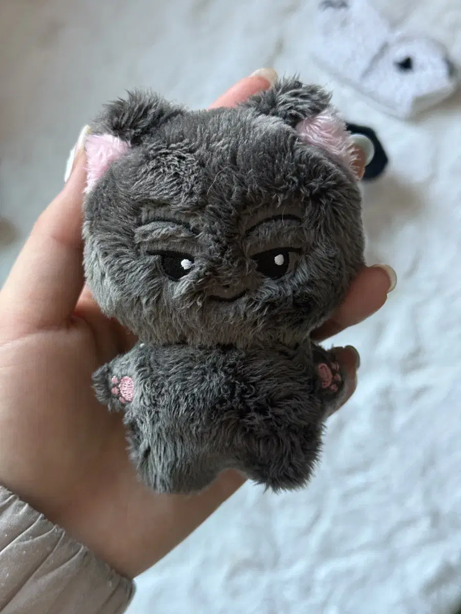 미국냥엔하이픈 제이 인형 박종성