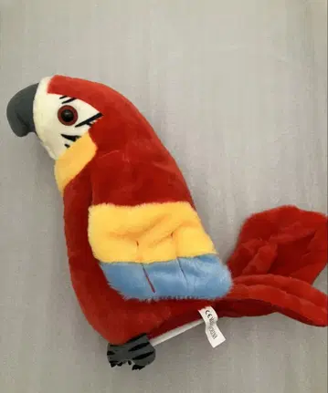 말 많은 앵무새