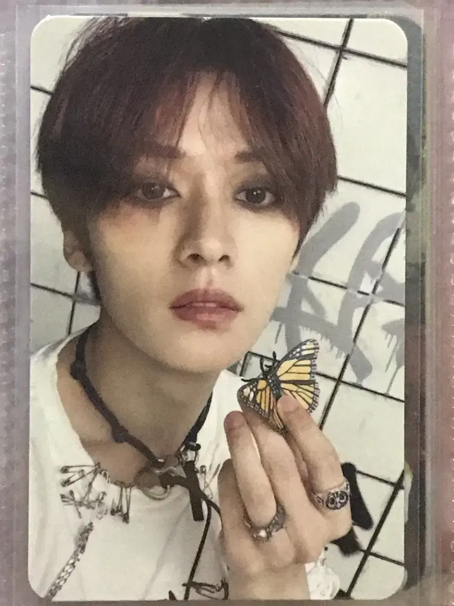 스트레이키즈 리노